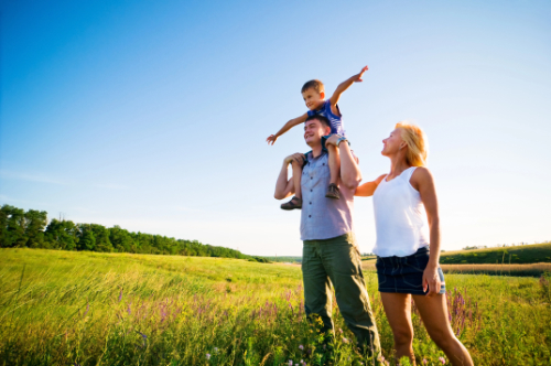 chiropractic boost immunity