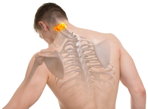 atlas vertebra chiropractic
