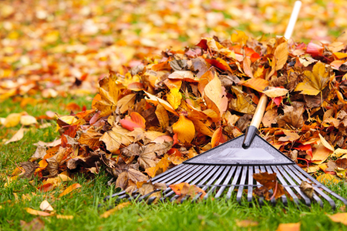 fall yard work chiropractic